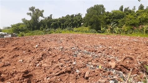 Tanda Tanah Telah Tercemar Sampah