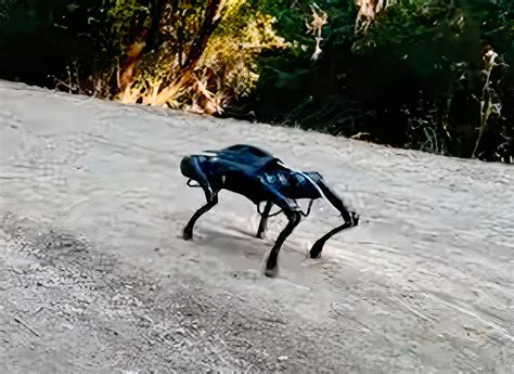 Robot Dog Teaches Itself to Walk Outdoors in Under 20-Minutes with ...