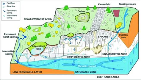 Conceptual model of karst aquifer and groundwater flow (from Ravbar ...