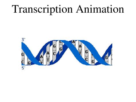 PPT - RNA PowerPoint Presentation, free download - ID:5315786