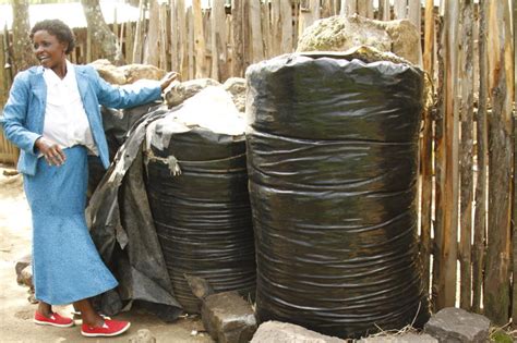 Smart farmers use tube silage bags to boost dairy produce - FarmKenya ...