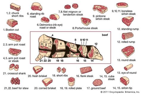 beef | Definition, Grades, & Facts | Britannica