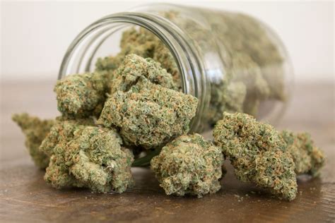 Top Seven Indica Strains at Green Sativa | Green Sativa