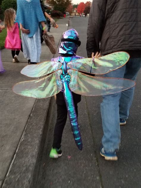 How to Make Costume Dragonfly Wings