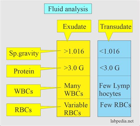 Fluid Analysis, Normal Findings of Various Body Fluids