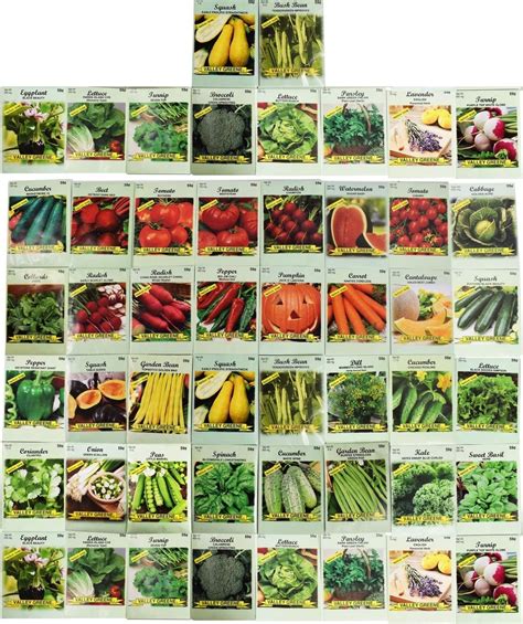 50 Packs Assorted Heirloom Vegetable Seeds 20+ Varieties All Seeds are ...