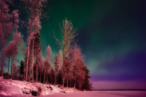 Seeing the northern lights in Finland - Routes North