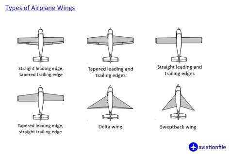 Types of Airplane Wings | aviationfile-Gateway to Aviation World