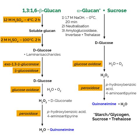 Beta-Glucan Assay Kit Yeast - Measurement of beta glucan | Megazyme