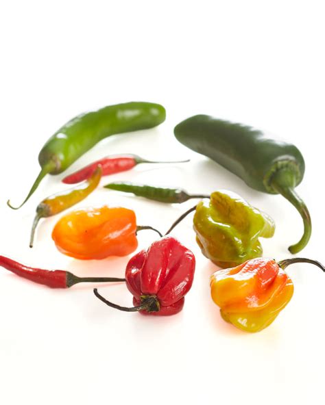 Are Serrano And Jalapeno The Same? Exploring The Differences