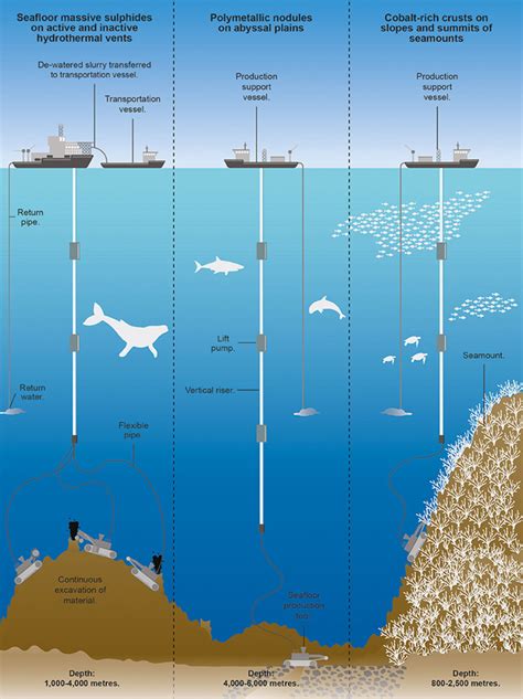 Deep-Sea Mining Could Destroy Marine Ecosystems, Study Says | Sci.News