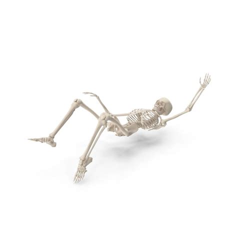 Skeleton Falling by PixelSquid360 on Envato Elements