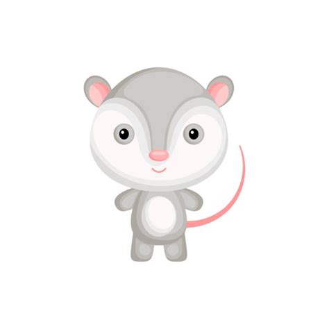 Drawing Of The Baby Possum Illustrations, Royalty-Free Vector Graphics ...