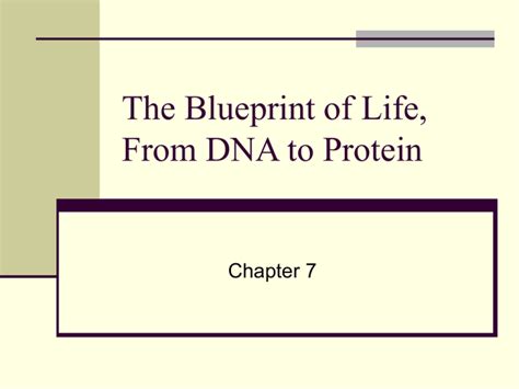 The Blueprint of Life, From DNA to Protein