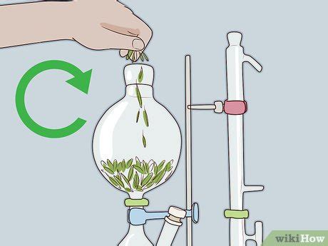 How to Make Tea Tree Oil: 14 Steps (with Pictures) - wikiHow