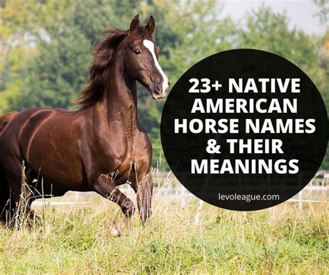 23+ Native American Horse Names & Meanings - Horse Name Generator