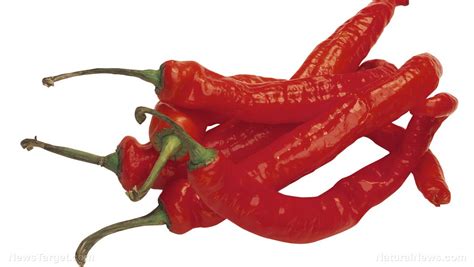 Capsaicin sources, health benefits and uses