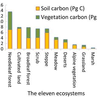 Terrestrial carbon storage (soil carbon and vegetation carbon) in the ...