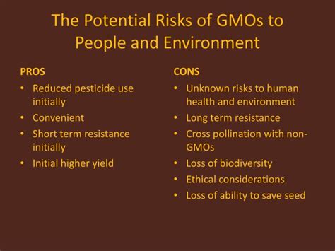 Gmo Environmental Pros And Cons | olympiapublishers.com