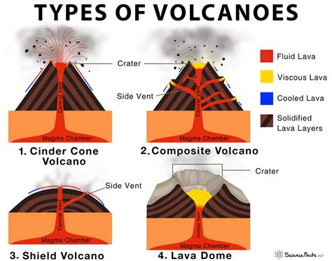 Types of Volcanoes | Science Facts | Earth science lessons, Volcano ...