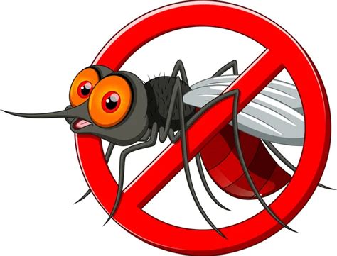 Clipart Mosquito Da Dengue