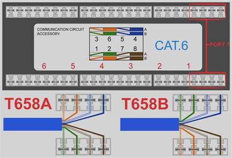 Cat5 Wall Plate Wiring Diagram Free Wiring Diagram – Wiring Diagram