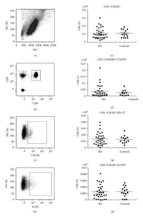 Enumeration of circulating TFH cells in whole blood. TFH cells were ...