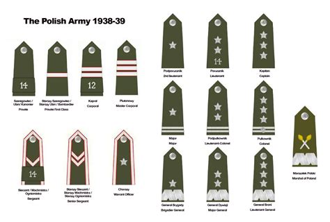 WWII Polish Uniform Guide - Warlord Games