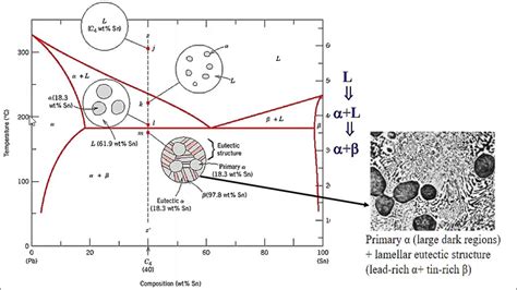 Microstructure of Eutectic - YouTube