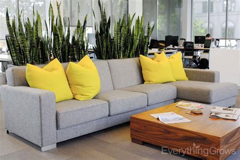 25 Awe Office Plants Interior Design Ideas – 13 Is Damn Beautiful