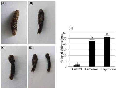 Effect of Buprofezin and Lufenuron @ 1.0 ml/L through combined bioassay ...