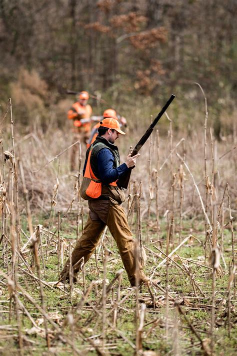 Quail Hunting 101 | Red Clay Soul