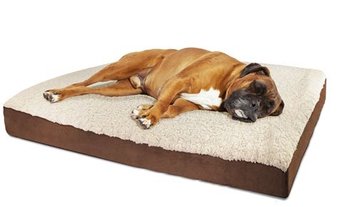 5 Best Orthopedic Dog Bed Reviews With Videos