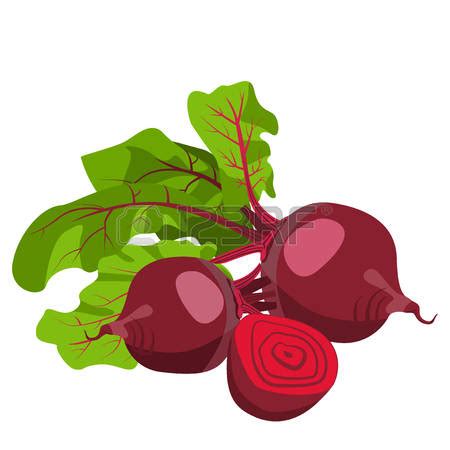 Beet Clipart Free You can download the beet cliparts in it s original ...