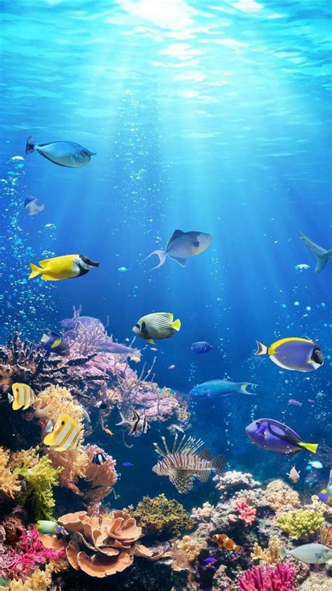 Smartphone HD Wallpaper | Underwater wallpaper, Ocean wallpaper, Sea ...