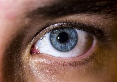 close-up-shot-of-blue-eye image - Free stock photo - Public Domain ...