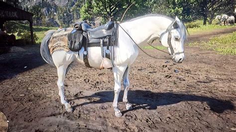 White Arabian Horse Rdr2 Location - Patched No Longer Works White ...