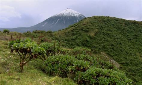 Mount Karisimbi - Rwanda volcaoes , rwanda safari , visit rwanda