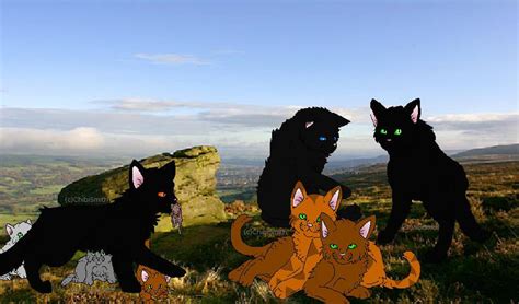 WindClan camp by Poppypatch1 on DeviantArt