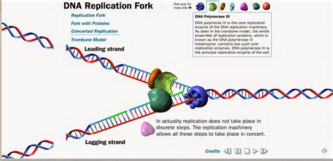 High School Learning Technologies: A Digital Portfolio: Harvard DNA ...