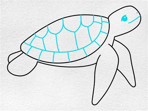 Easy Sea Turtle Drawing - HelloArtsy