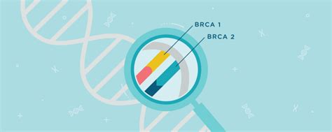 Who Should Consider BRCA Testing? - My Gene Counsel