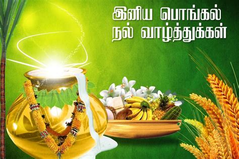 Pongal Wishes In Tamil | Happy Pongal Tamil Wishes Images | Tamil ...