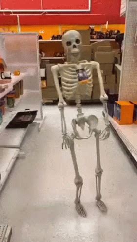 Skeleton Falling GIF – Skeleton Falling – discover and share GIFs