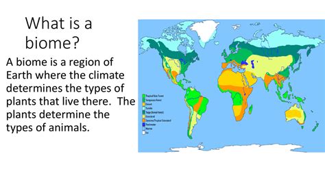 What is a biome?