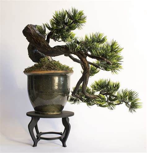 Bonsai Tree Styles - Bonsai Tree Gardener