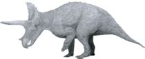 Utahceratops - Wikipedia