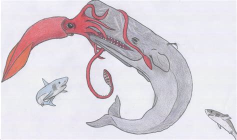 Sperm whale v.s Giant squid by Dark-Hyena on DeviantArt