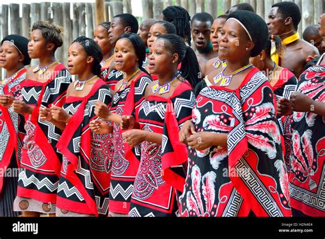 Traditional Swazi dancing display by the troupe at Mantenga Cultural ...