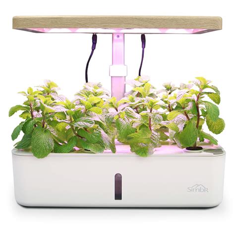 Buy SIMBR 12 Pods Hydroponic Growing System Indoor Garden Kit, Starter ...